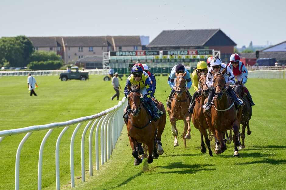 Groupe de chevaux de course en pleine compétition sur un hippodrome ensoleillé.